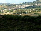 (77) Piazza Armerina - Pranzo Agriturismo GIGLIOTTO.jpg